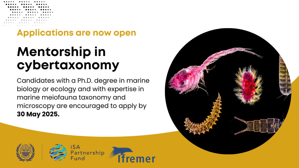 Applications are now open for the ISA-Ifremer Meioscool postdoctoral fellowship in cybertaxonomy
